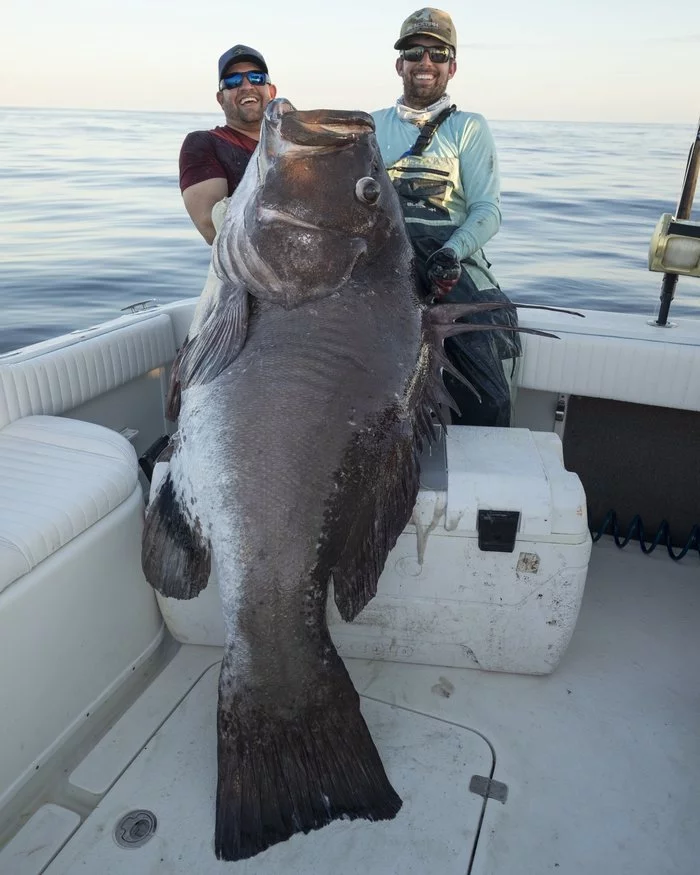 Fishermen from Florida caught a sea monster - Relaxation, Fishing, Record