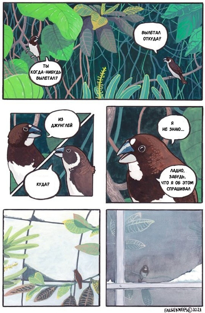  Falseknees, , , 