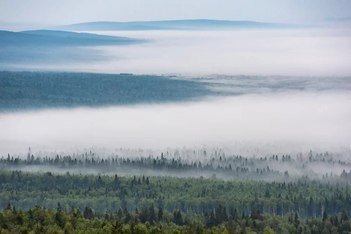 Blue mountains of the Urals - My, Ural, Taiga, Fog, Morning, The photo