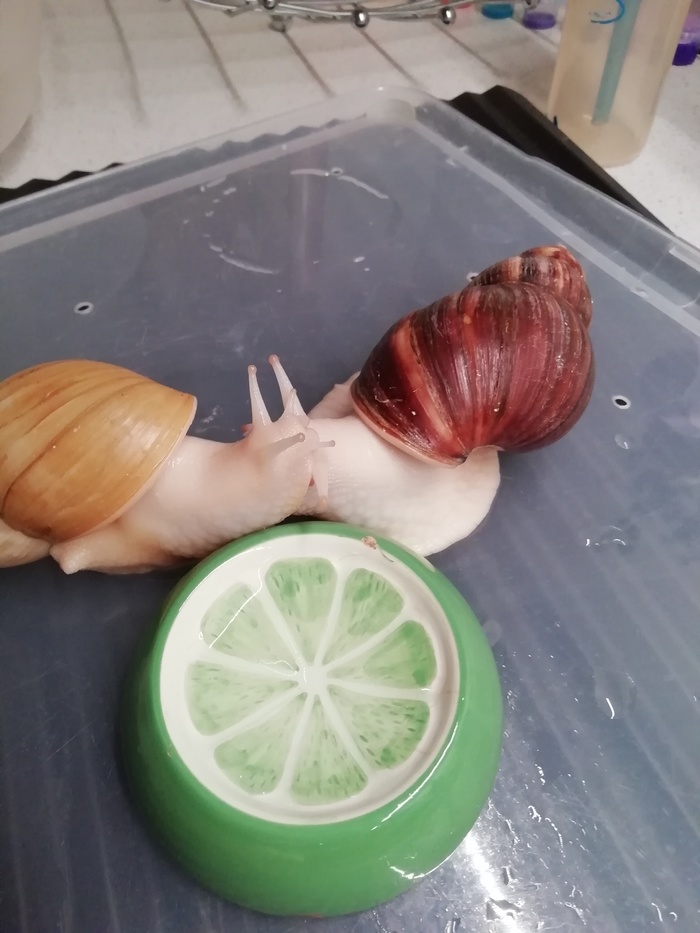    - .  , , ,  , 