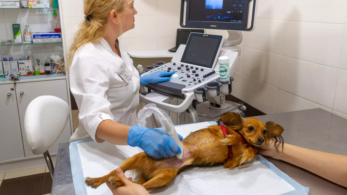 �������, ����� ������� �������? � ��� � ���!