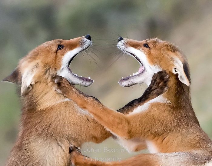 ��������! �� ������ ����������!