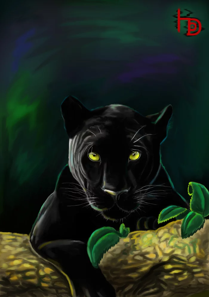 Black Panther - My, Black Panther, Portrait by photo, Stylization, Big cats, Photoshop, Cat family