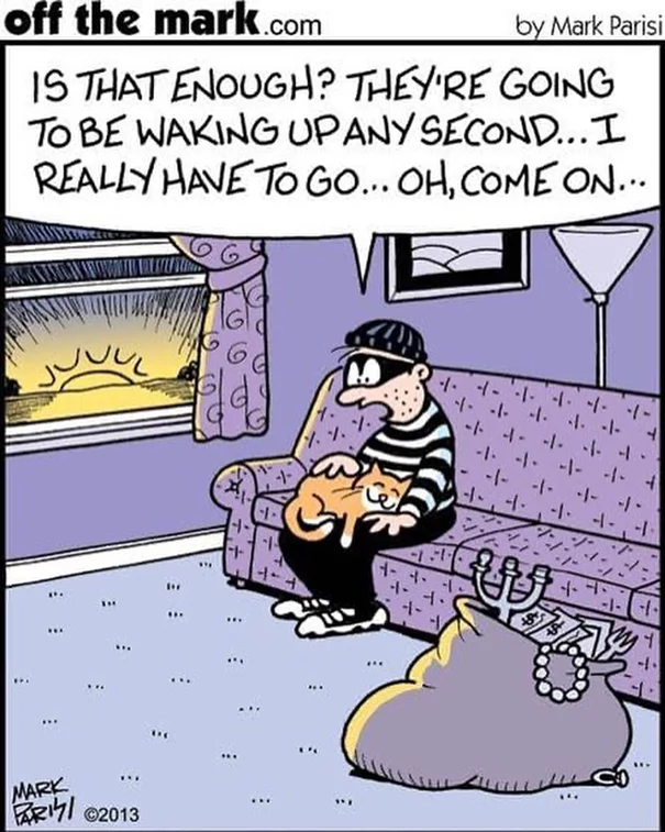 When something went wrong - Offthemark, Mark Parisi, Comics, Theft, Thief, Purring, cat