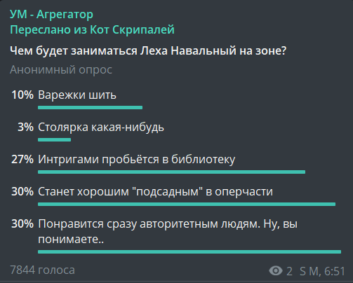 Чем будет заниматься Алексей на зоне? - Моё, Алексей Навальный, Тюрьма, Рисунок, Опрос, Скриншот, Telegram, Политика