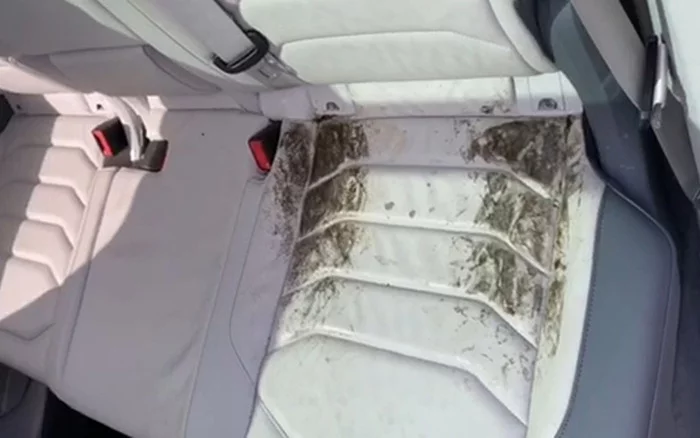 7.3 million for mold in the Tuareg! - car showroom, Volkswagen Touareg, Dealer, Court, Video, Longpost, Vertical video, Negative