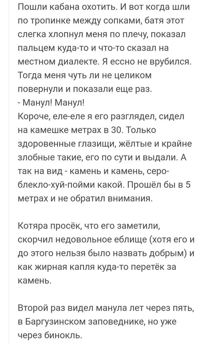 Умеет заинтриговать - Манул, Истории из жизни, Ненависть, Юмор, Дикие животные, Комментарии на Пикабу, Скриншот, Длиннопост, Мат, Охота