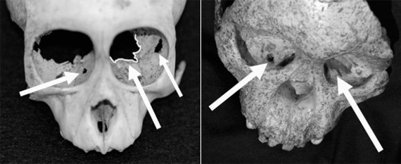 How could your prehistoric grandfather die? - Story, Negative, Archeology, Humanity, Primitive people, Longpost