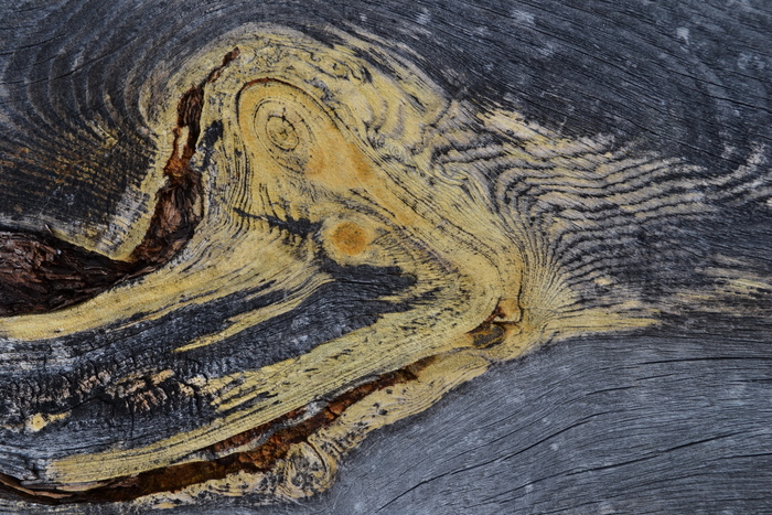 Дерево смола фактура