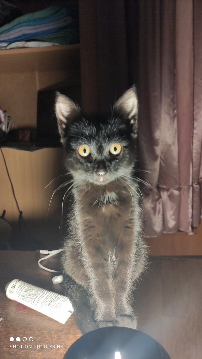 ������ ����