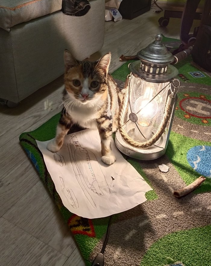 ��������� ���������