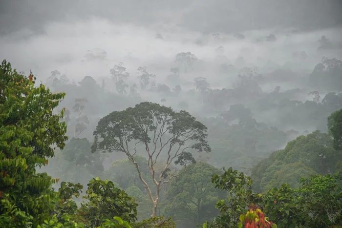 Borneo in my heart. - My, Borneo, Malaysia, Travels, Route, Video, Longpost