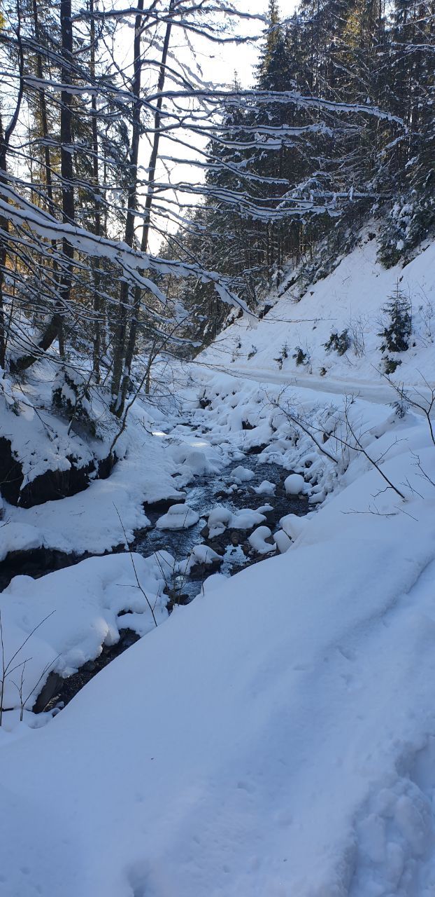 Journey to the fairy tale of the Carpathians - Carpathians, Longpost, The photo, The mountains, Winter