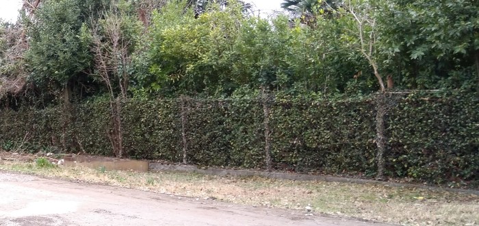 Как сделать костер в квартире