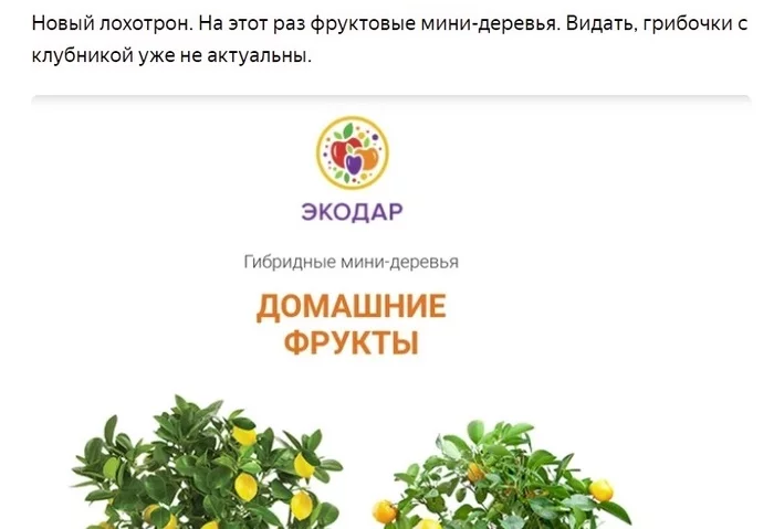 Beware, scam. Fruit mini-trees Ecodar - My, Gardening, Gardener, Dacha, Fraud, Internet Scammers, Orchard, Longpost, Negative