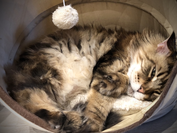 ������ ���, ��� ����� ��� ����� 3 ���. �� �����...