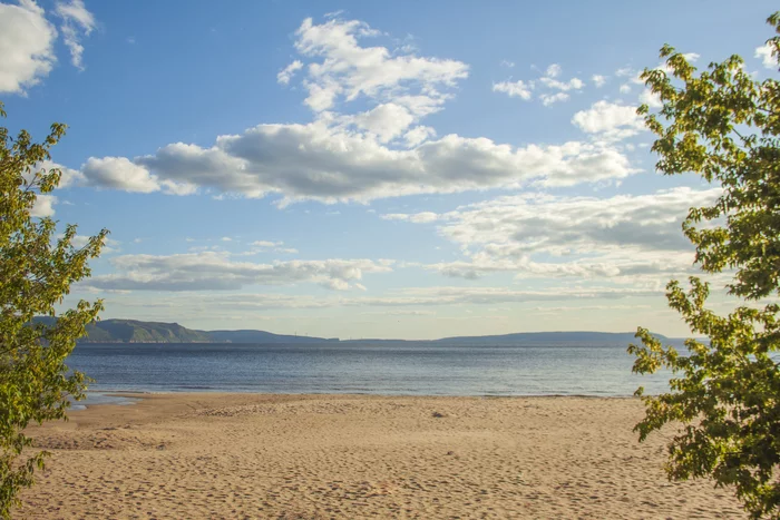 Summer - My, Summer, Volga river, Forest, Strawberry (plant), Raspberries, Longpost