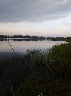 Pond in the village of Bishtinovo - My, Fishing, Fishing gear, Catch, Bashkortostan, Longpost