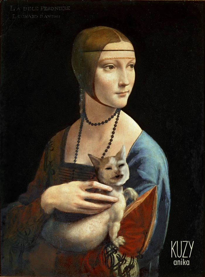 Lady with a cat - My, Art, Memes, cat, Creation, Leonardo da Vinci, Print, Sweatshirt, sweatshirt, Longpost
