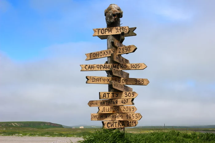 How to get to the Commander Islands - Kamchatka, Longpost, Работа мечты, Work, Volunteering, Hiking, Tourism, Reserves and sanctuaries, Commander Islands, Island, wildlife, Nature, My