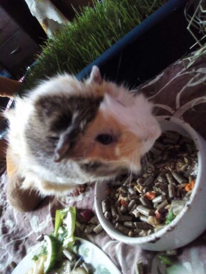 ������ ������. � ���� ��������� ��������, ������� � ����������� �������� �� ����� ��������, � ����� ��������� ���� �� ����� �� ������ 1,5 �