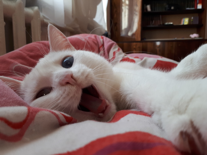  , , , 
