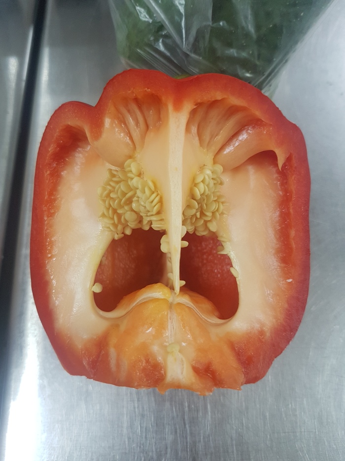 Кошмар на грядке