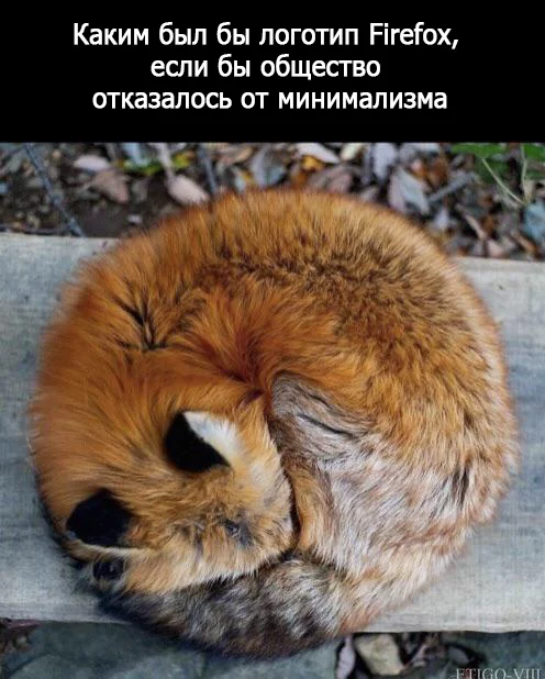 So even better) - Fox, Firefox, Memes, Picture with text