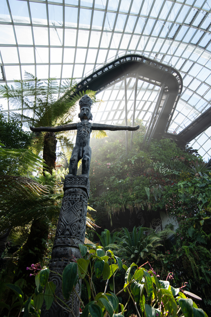 ���� ����� ���