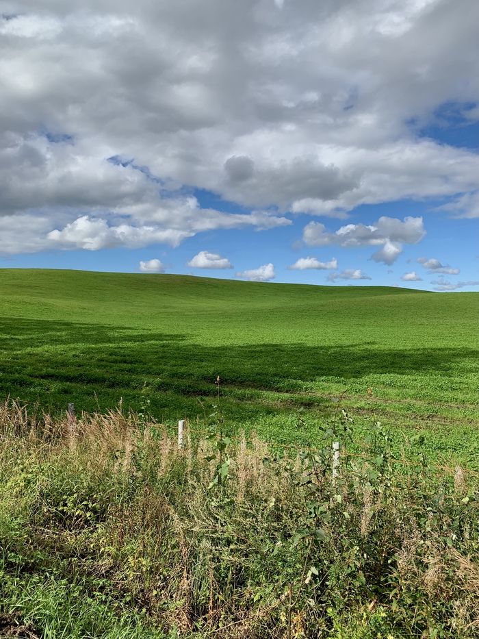   , , Windows XP