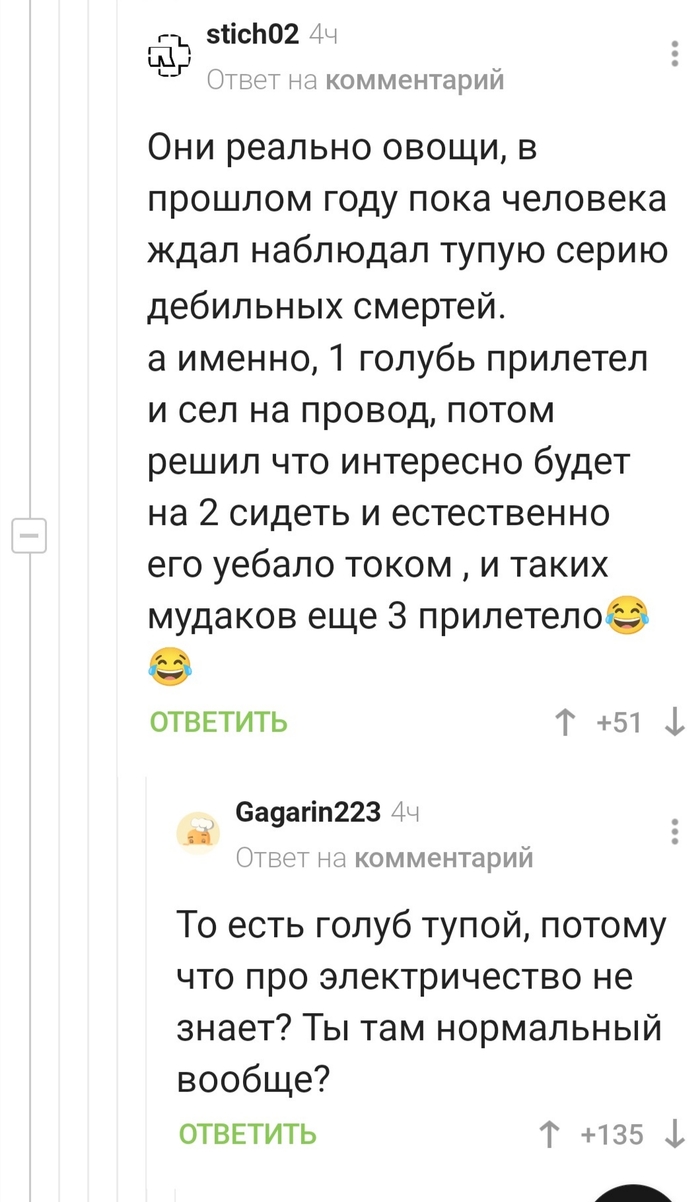 Голубь: истории из жизни, советы, новости, юмор и картинки — Лучшее | Пикабу