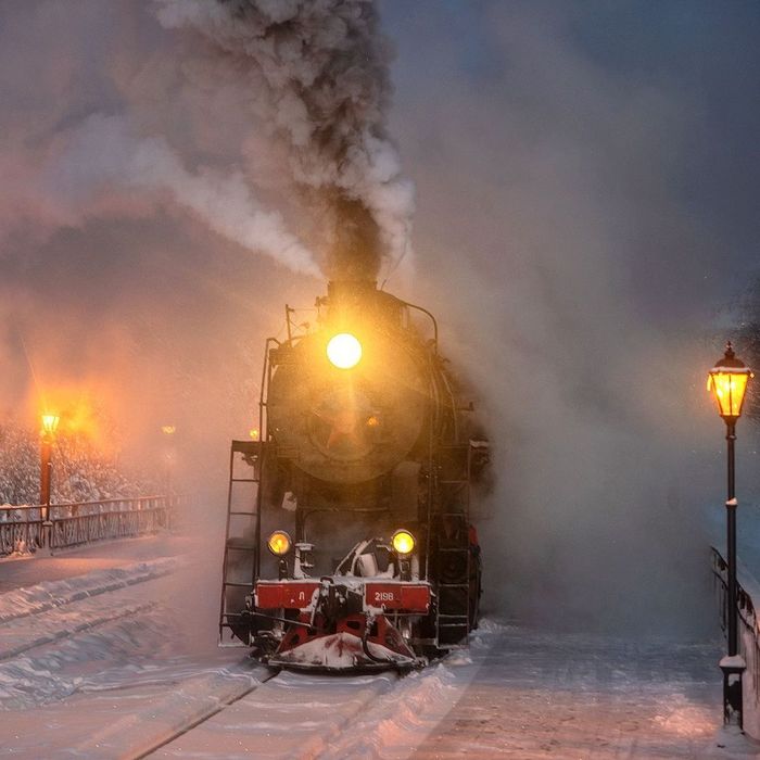 ������������ ��������