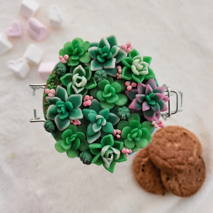 Jar with succulents - My, Polymer clay, Needlework without process, Succulents, Jar, Longpost