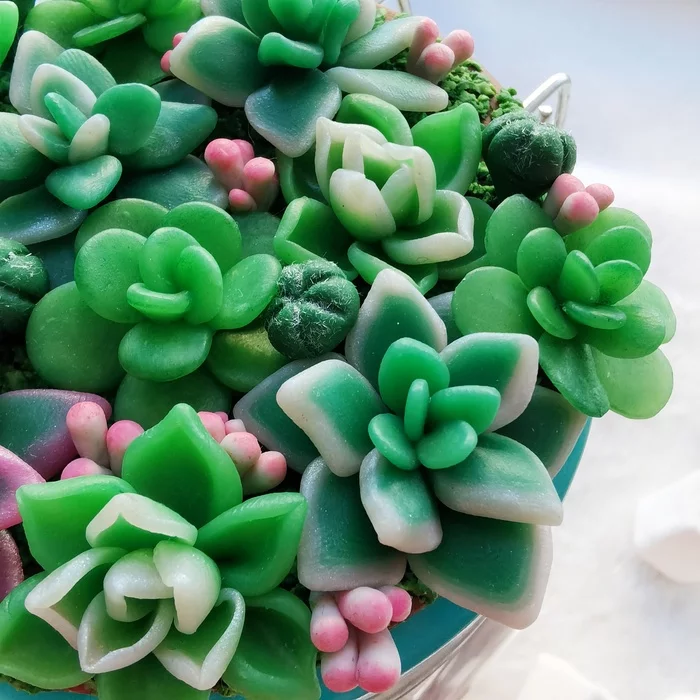 Jar with succulents - My, Polymer clay, Needlework without process, Succulents, Jar, Longpost
