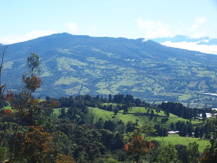 Коста Рика (декабрь 2019) Коста-Рика, Путешествия, Длиннопост