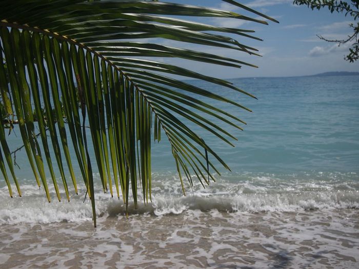 Коста Рика (декабрь 2019) Коста-Рика, Путешествия, Длиннопост