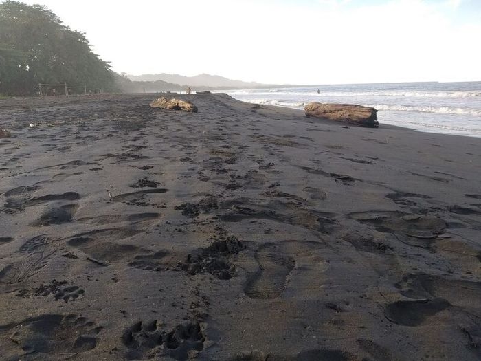 Коста Рика (декабрь 2019) Коста-Рика, Путешествия, Длиннопост