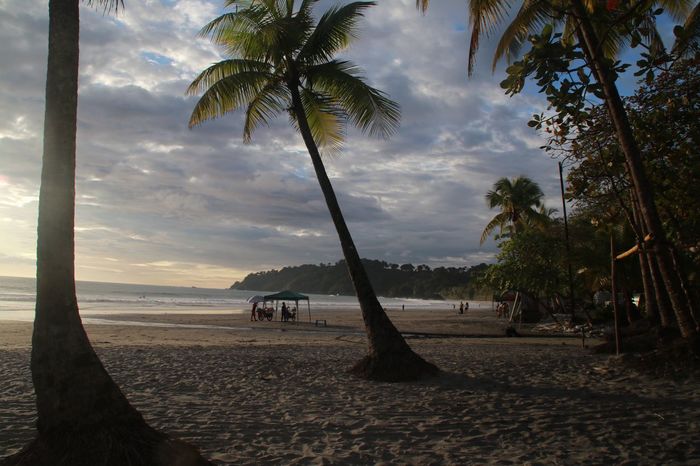 Коста Рика (декабрь 2019) Коста-Рика, Путешествия, Длиннопост