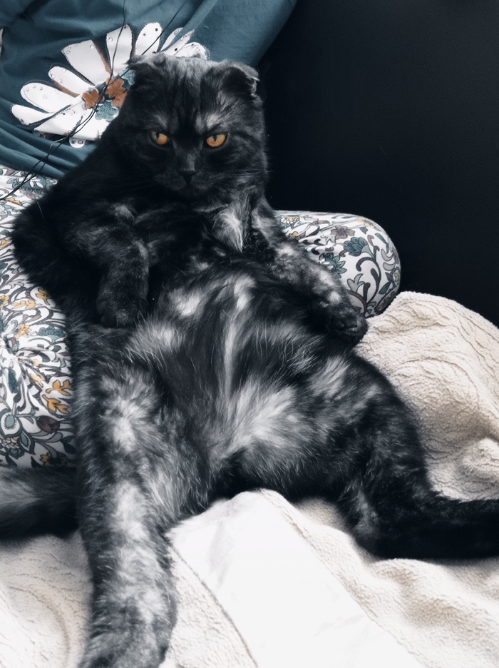   , , , 