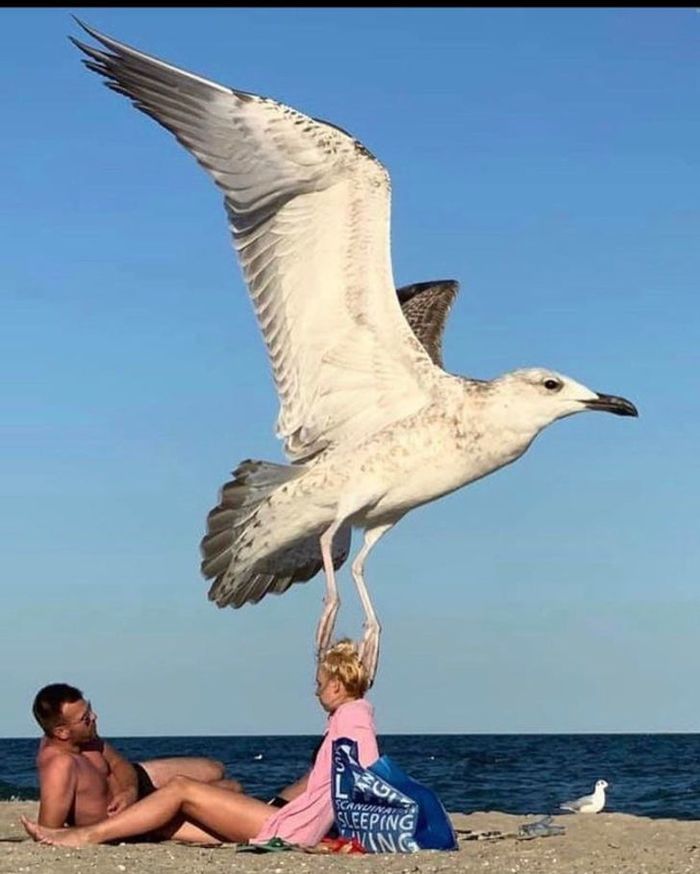 ������ ��������� �������� ������