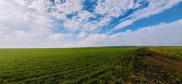 �� ������� "�������������"