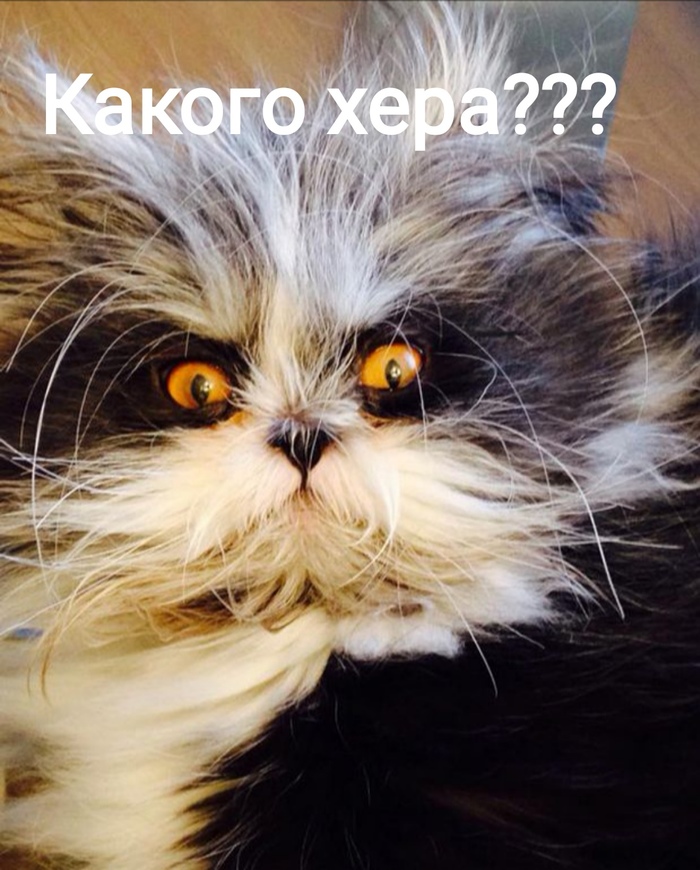 ����������� ����