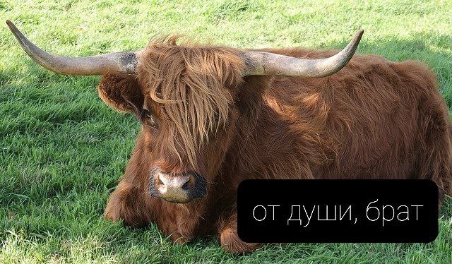 иконки спаси и сохрани картинки. Смотреть фото иконки спаси и сохрани картинки. Смотреть картинку иконки спаси и сохрани картинки. Картинка про иконки спаси и сохрани картинки. Фото иконки спаси и сохрани картинки
