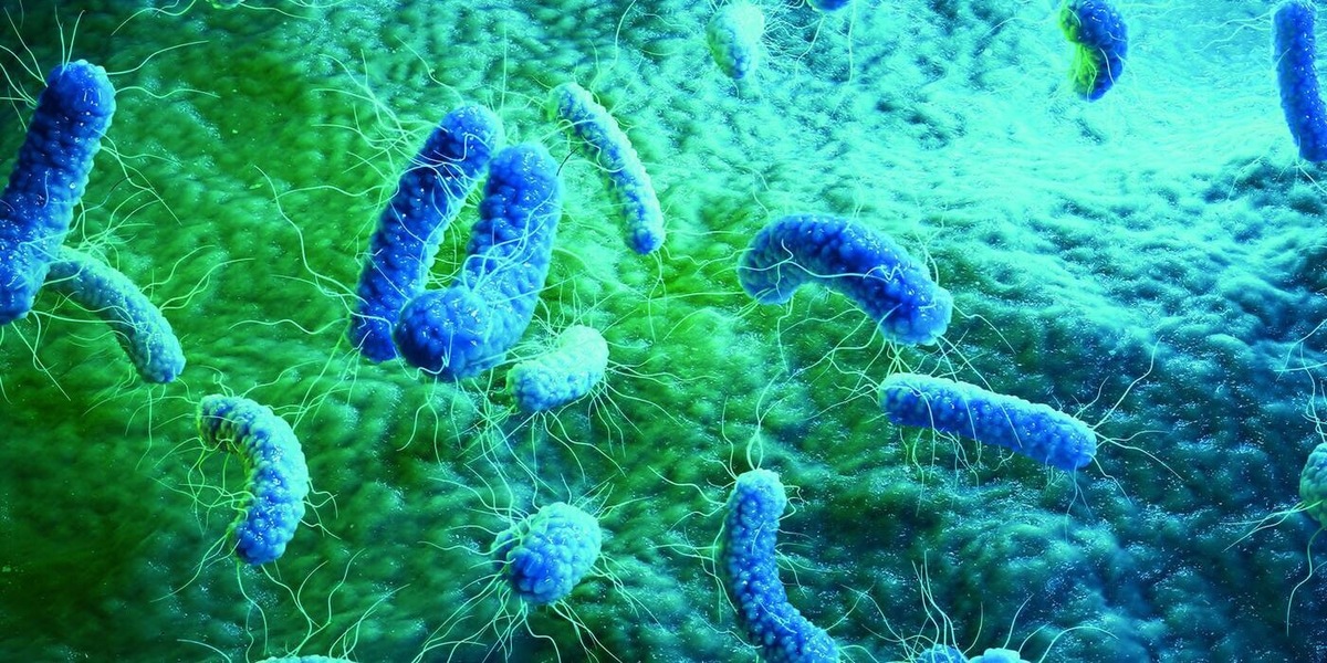 Организменные бактерии. Цианобактерии железобактерии серобактерии. Морские микроорганизмы. Бактерии фото. Микроорганизмы в океане.