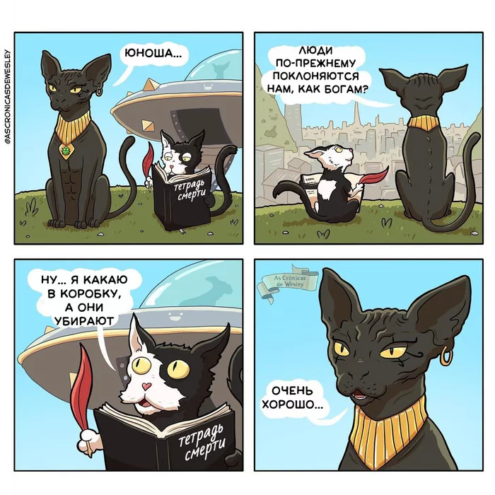 cat slave - As cronicas de wesley, Comics, cat, Humor