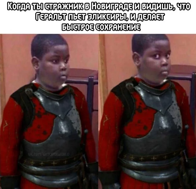 Guard - Witcher, The Witcher 3: Wild Hunt, Guard, Elixir, Geralt of Rivia, Novigrad, Preservation, Humor, Memes, Picture with text