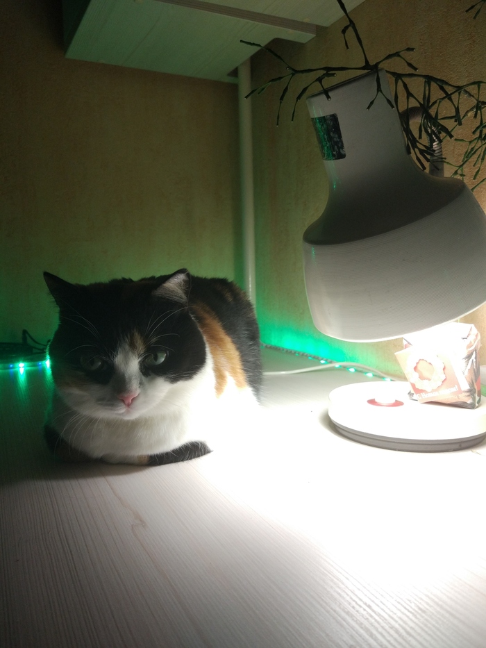 ���������