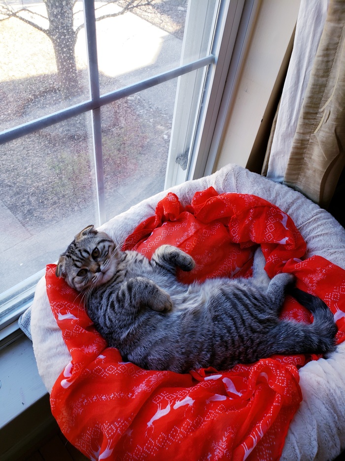 ����� ����� ������... ������ ����� ����� �������