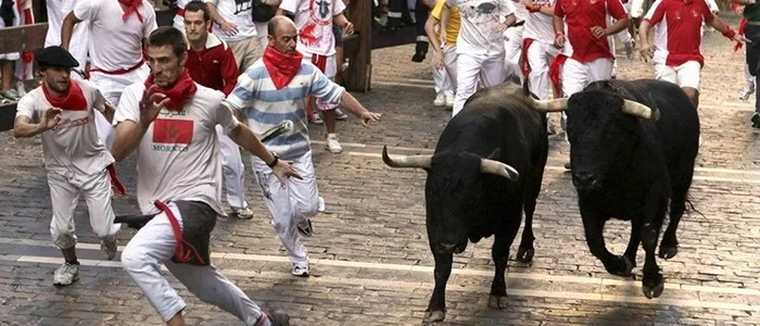 Encierro - Spanish running of the bulls - My, Encierro, Bull, Spain, Entertainment, The race, Pamplona, Summer, Plans for the summer, Bullfight, Mat, Video, Longpost