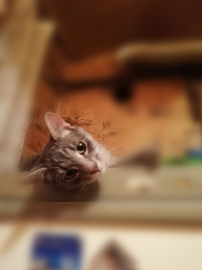 �������� �� ����� ����� ����������� ������ ������!